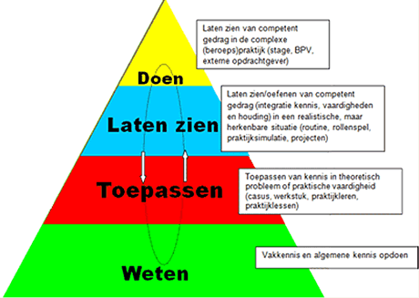 Taxonomie Miller - versie 1