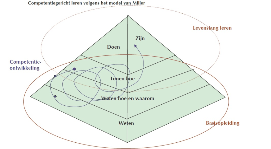 Taxonomie Miller - versie 2