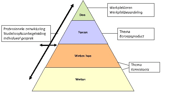 Taxonomie Miller - versie 4